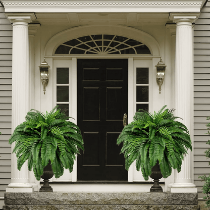 Last Day 40% OFF--UV Resistant Lifelike Artificial Boston Fern