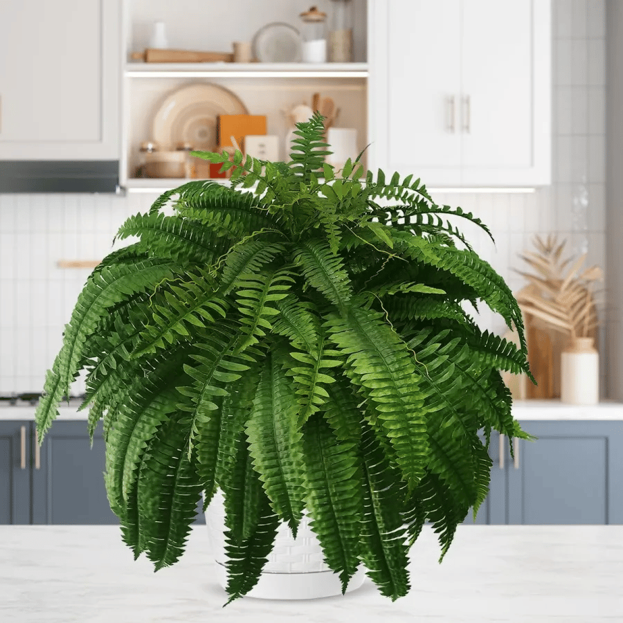 Last Day 40% OFF--UV Resistant Lifelike Artificial Boston Fern