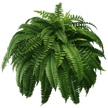 Last Day 40% OFF--UV Resistant Lifelike Artificial Boston Fern