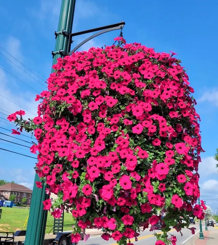 ✨This Week's Special Sale 49% Off- UV Simulation Artificial flower